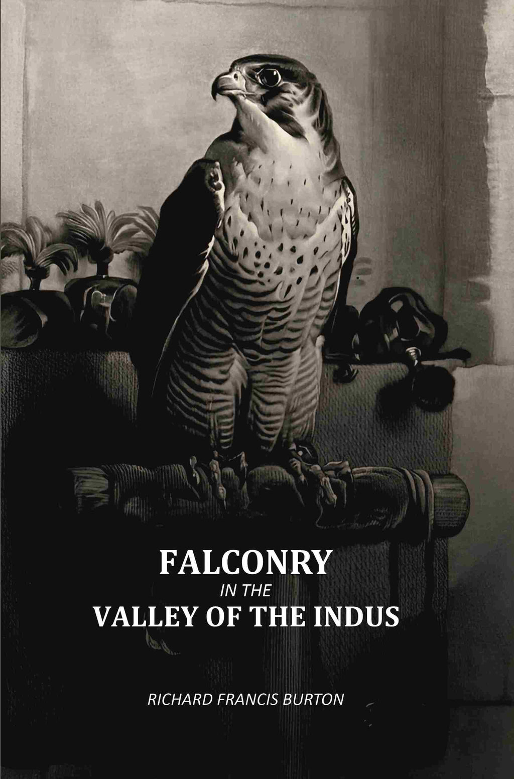 Falconry In The Valley Of The Indus - Gyan Books - Distacart