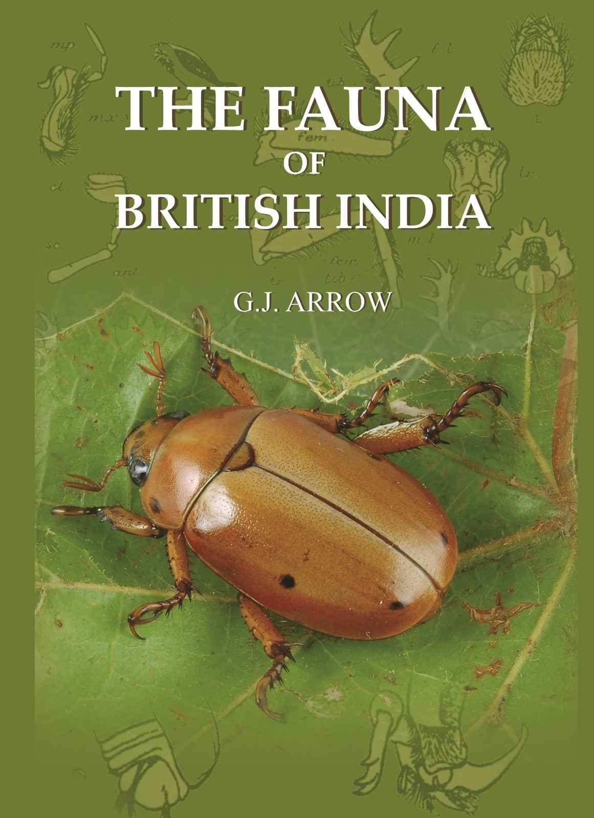 The Fauna Of British India - Gyan Books - Distacart