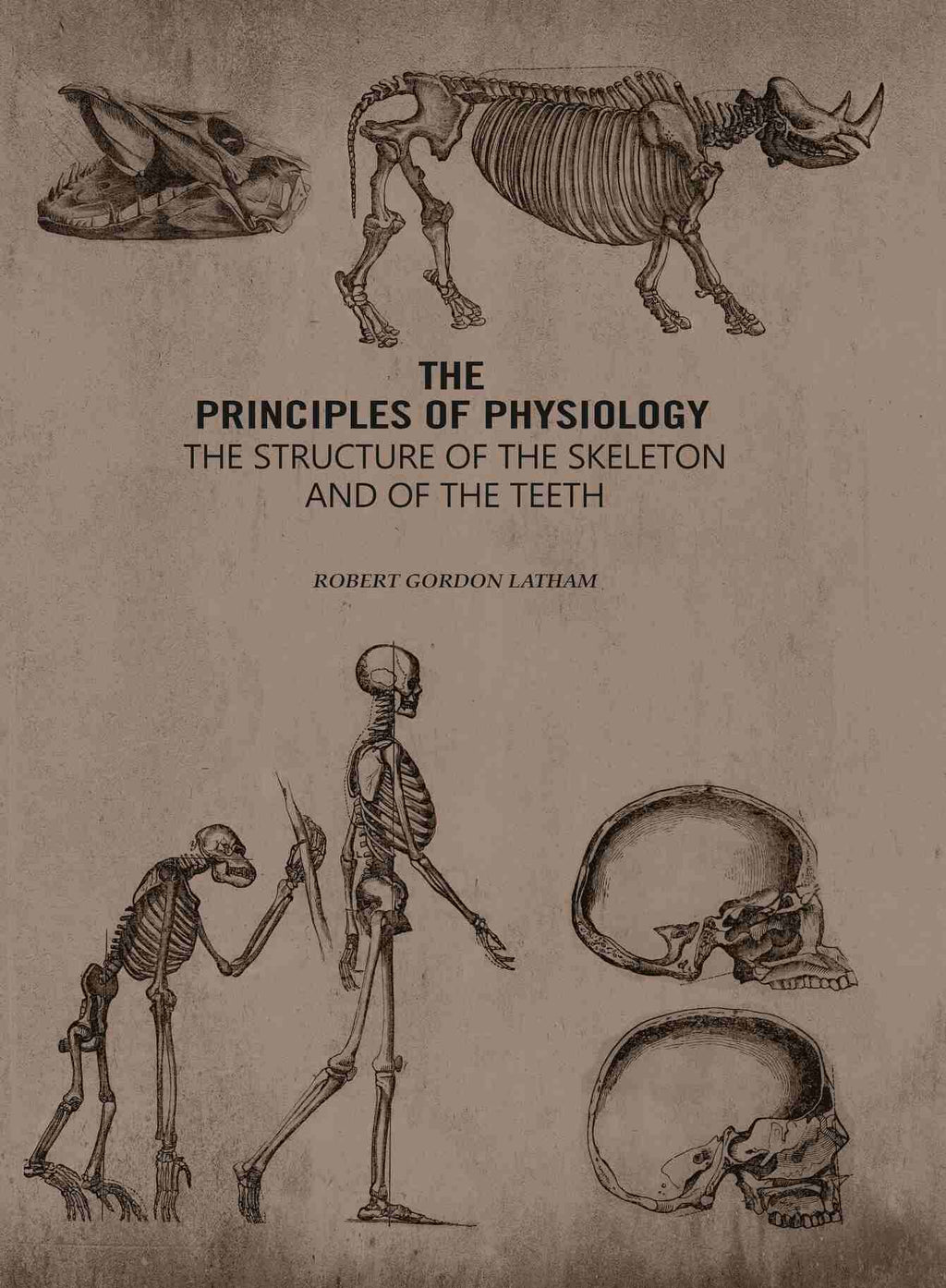 The Principles of Physiology: The Structure of the Skeleton and of the Teeth - Gyan Books - Distacart