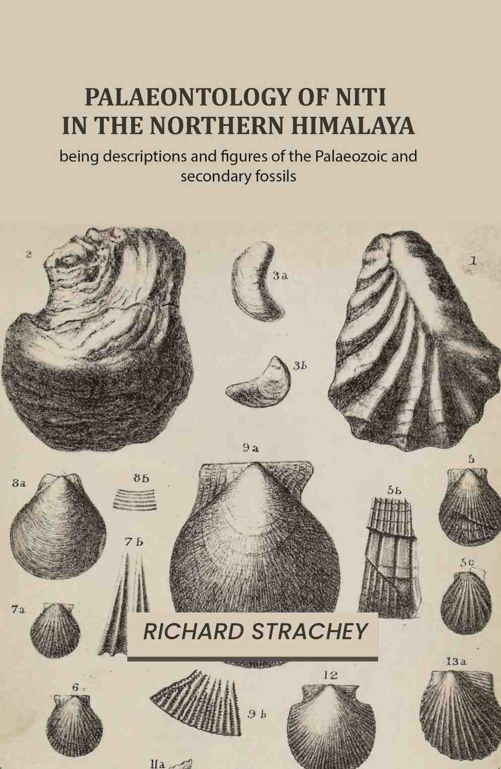 Palaeontology of Niti in the Northern Himalaya: being descriptions and figures of the Palaeozoic and secondary fossils - Gyan Books - Distacart