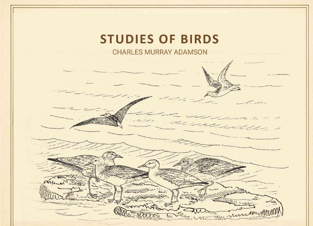 Studies of birds - Gyan Books - Distacart