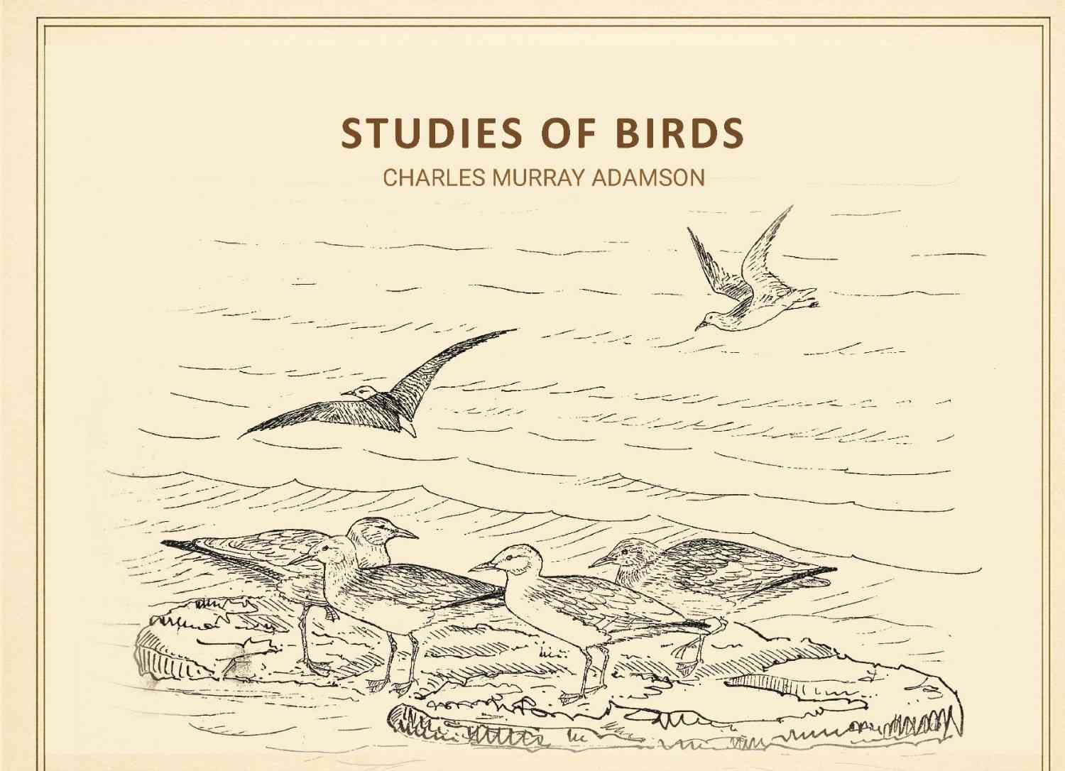 Studies of birds - Gyan Books - Distacart