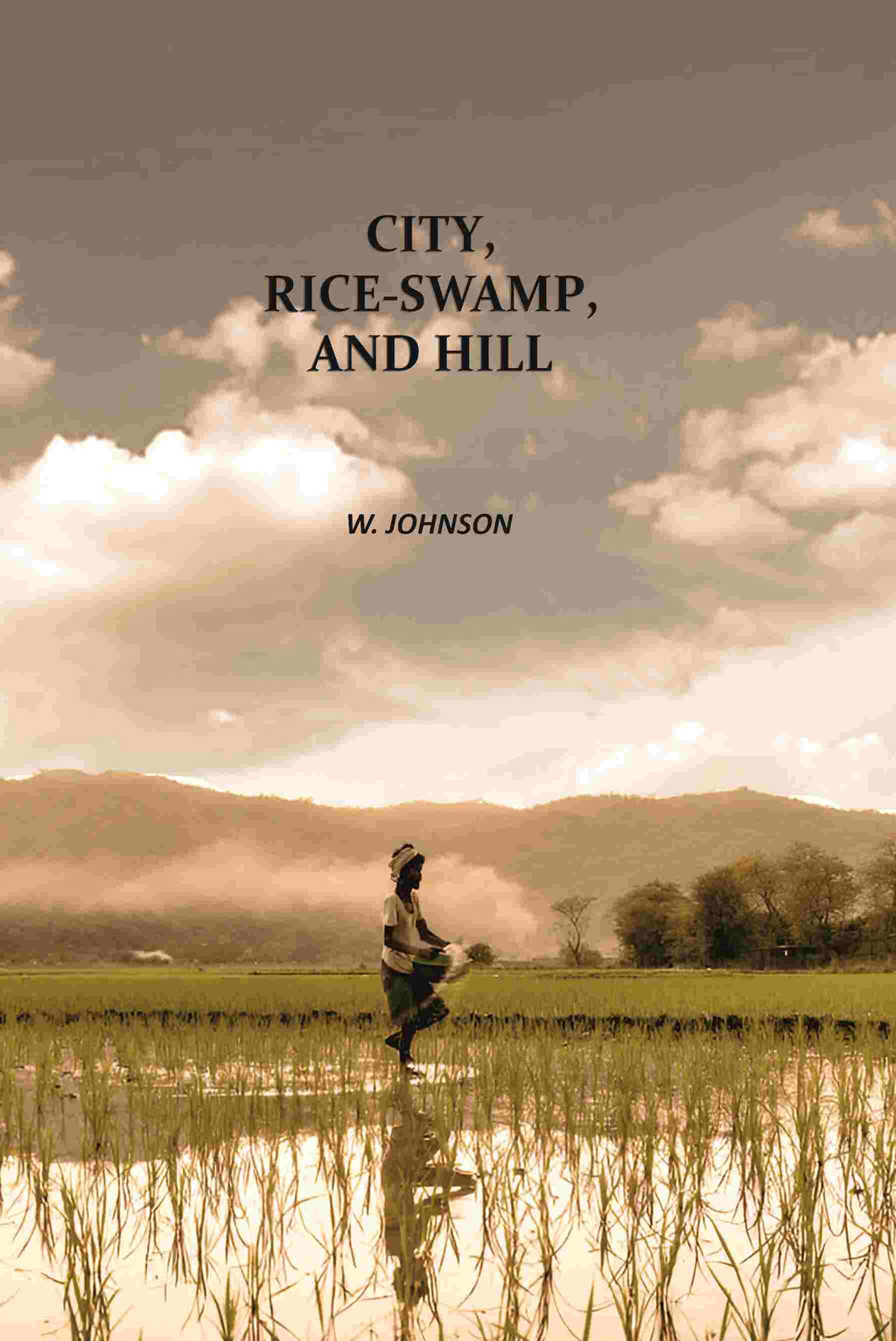 City, Rice-Swamp, And Hill - Gyan Books - Distacart