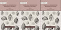 Land and fresh water Mollusca of India: Including South Arabia, Baluchistan, Afghanistan, Kashmir (3 Vols. Set (Text and Plates)) - Gyan Books - Distacart