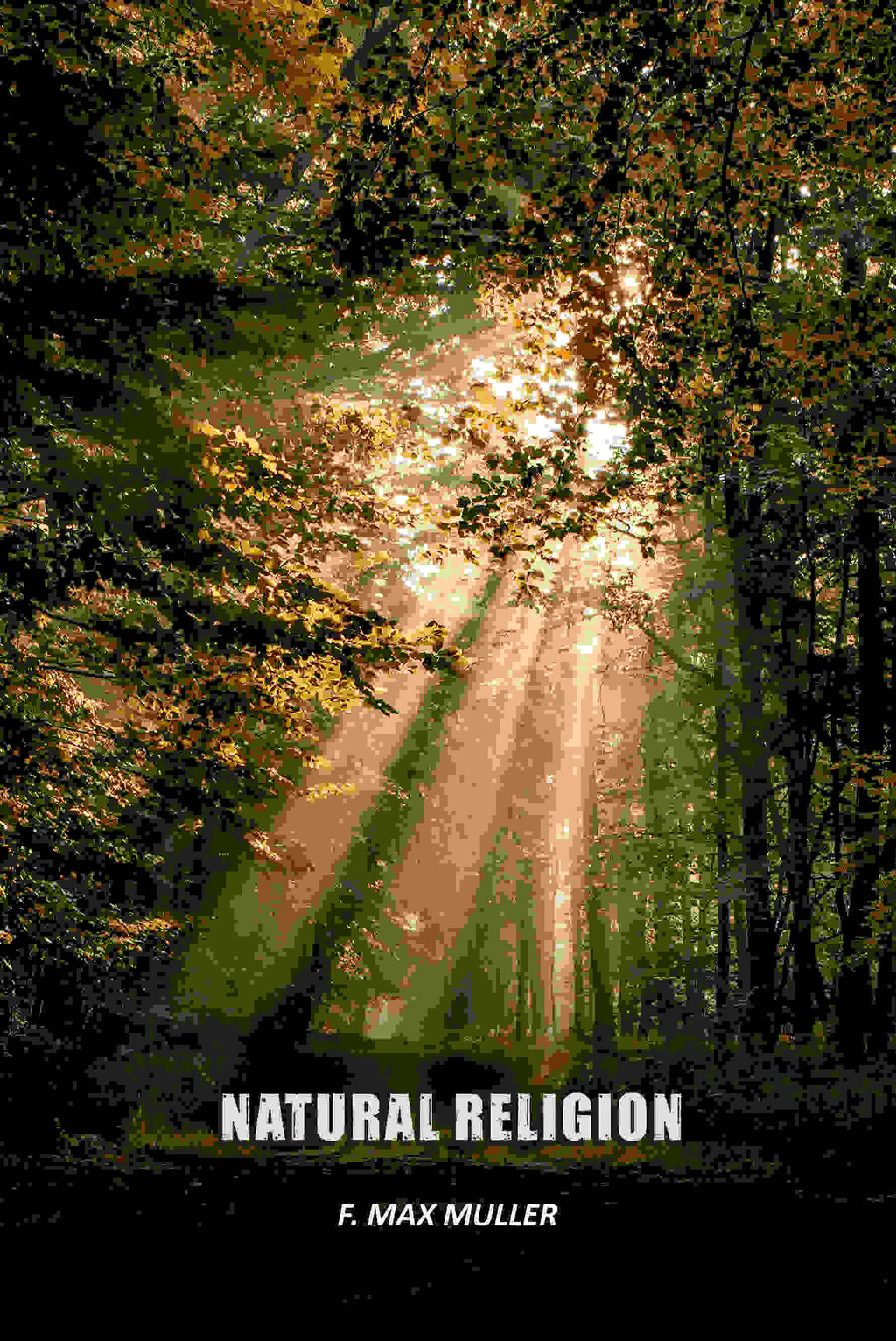 Natural Religion - Gyan Books - Distacart