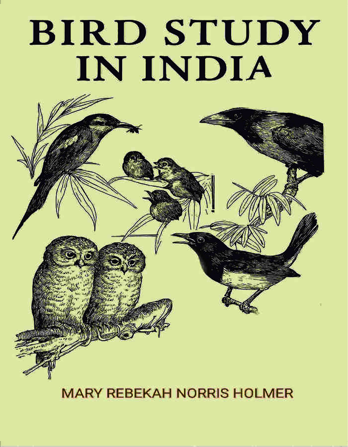 Bird Study in India - Gyan Books - Distacart