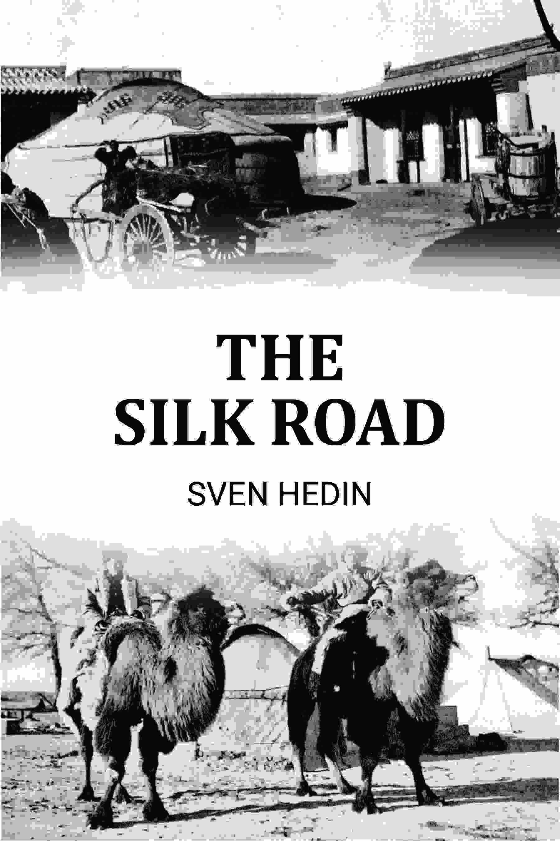 The Silk Road - Gyan Books - Distacart