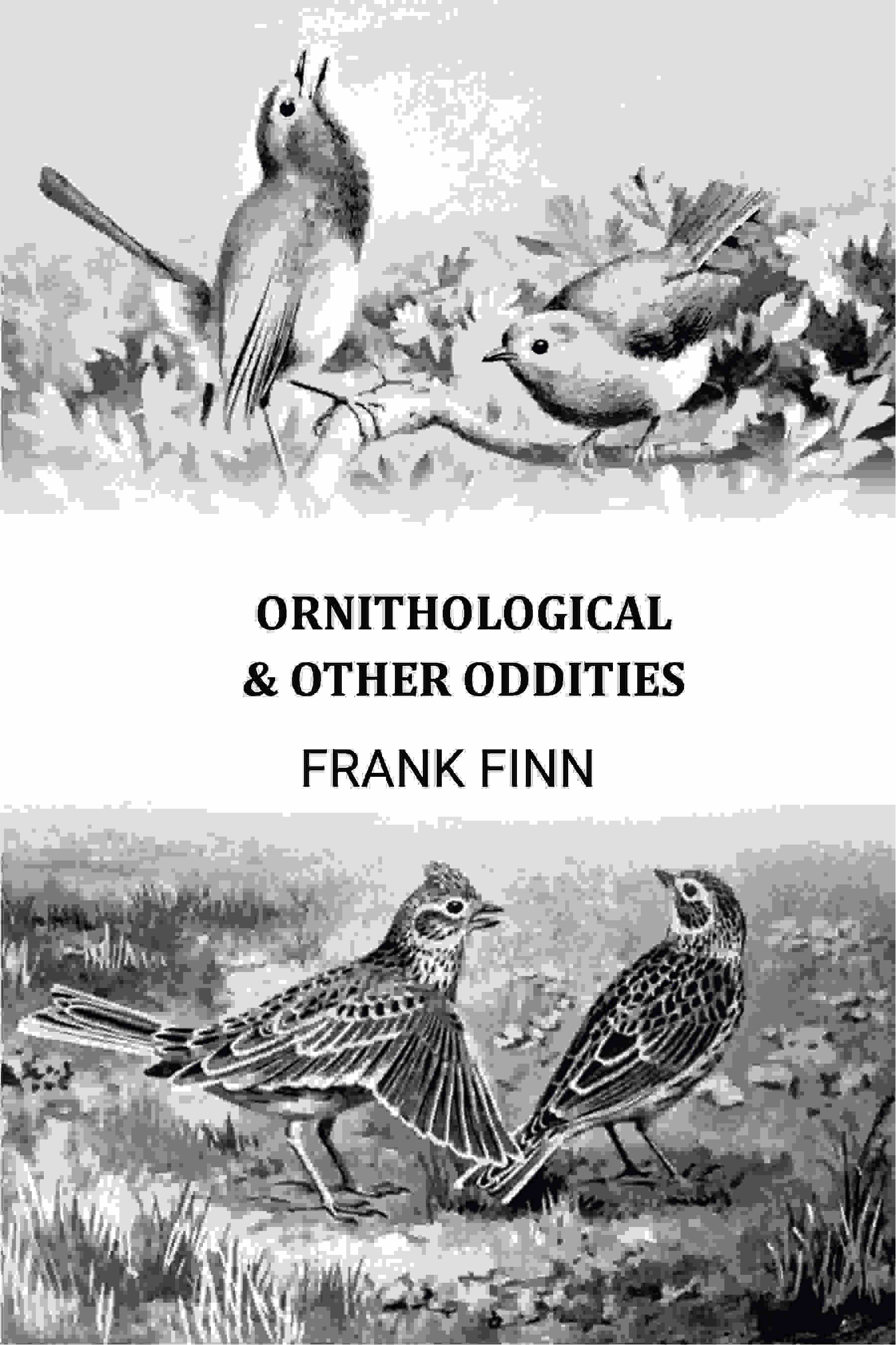 Ornithological & Other Oddities - Gyan Books - Distacart