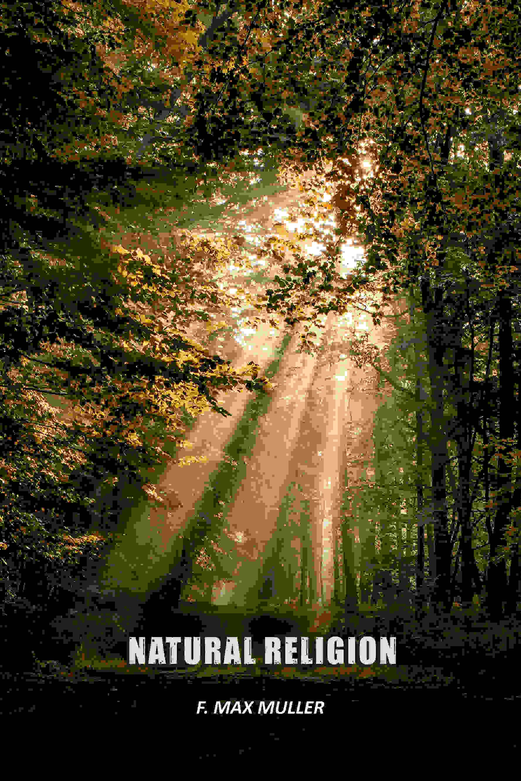 Natural Religion - Gyan Books - Distacart