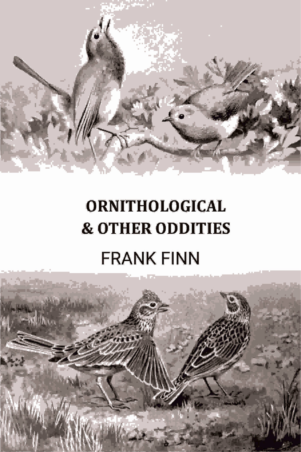 Ornithological & Other Oddities - Gyan Books - Distacart
