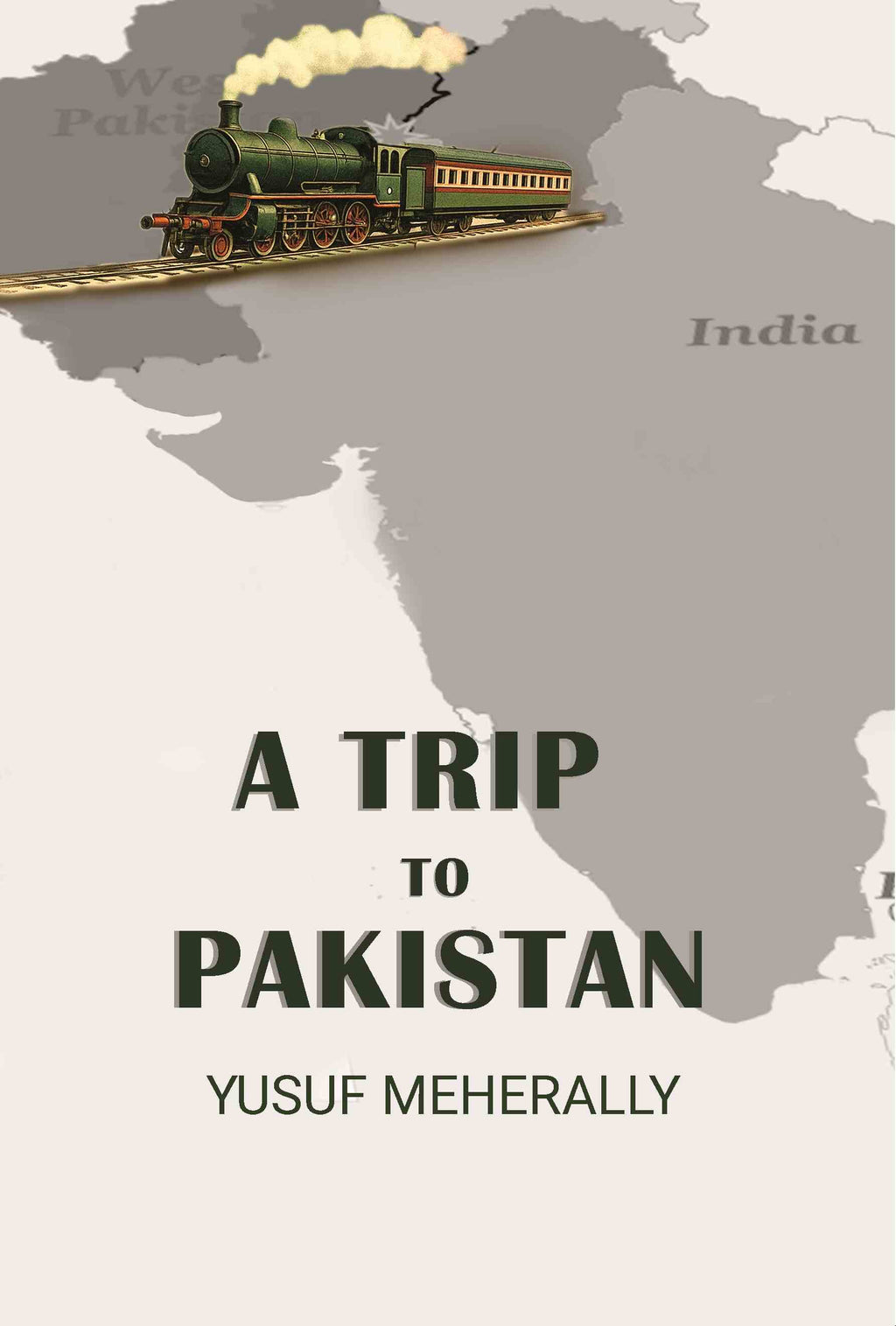 A Trip To Pakistan - Gyan Books - Distacart
