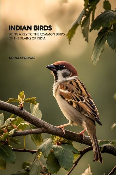 Indian Birds: Being A Key To The Common Birds Of The Plains Of India - Gyan Books - Distacart