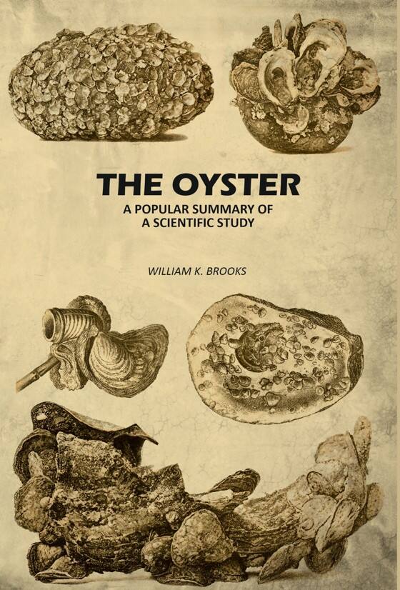 The Oyster: A Popular Summary of A Scientific Study - Gyan Books - Distacart