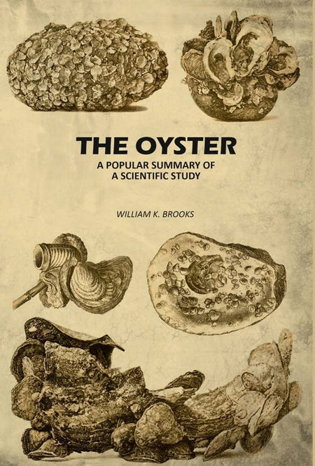 The Oyster: A Popular Summary of A Scientific Study - Gyan Books