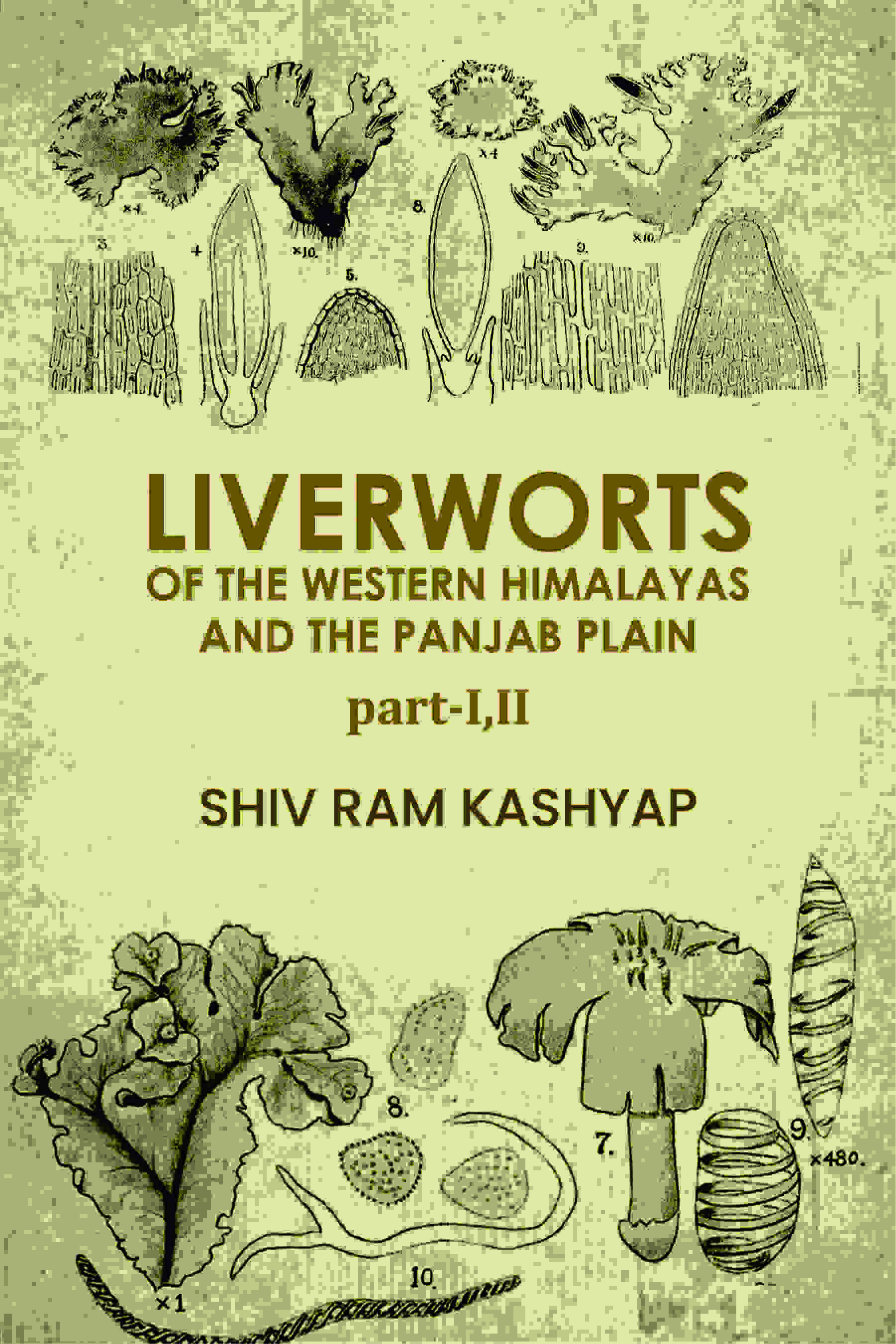 Liverworts Of The Western Himalayas And The Panjab Plain (Part 1 and 2) - Gyan Books - Distacart