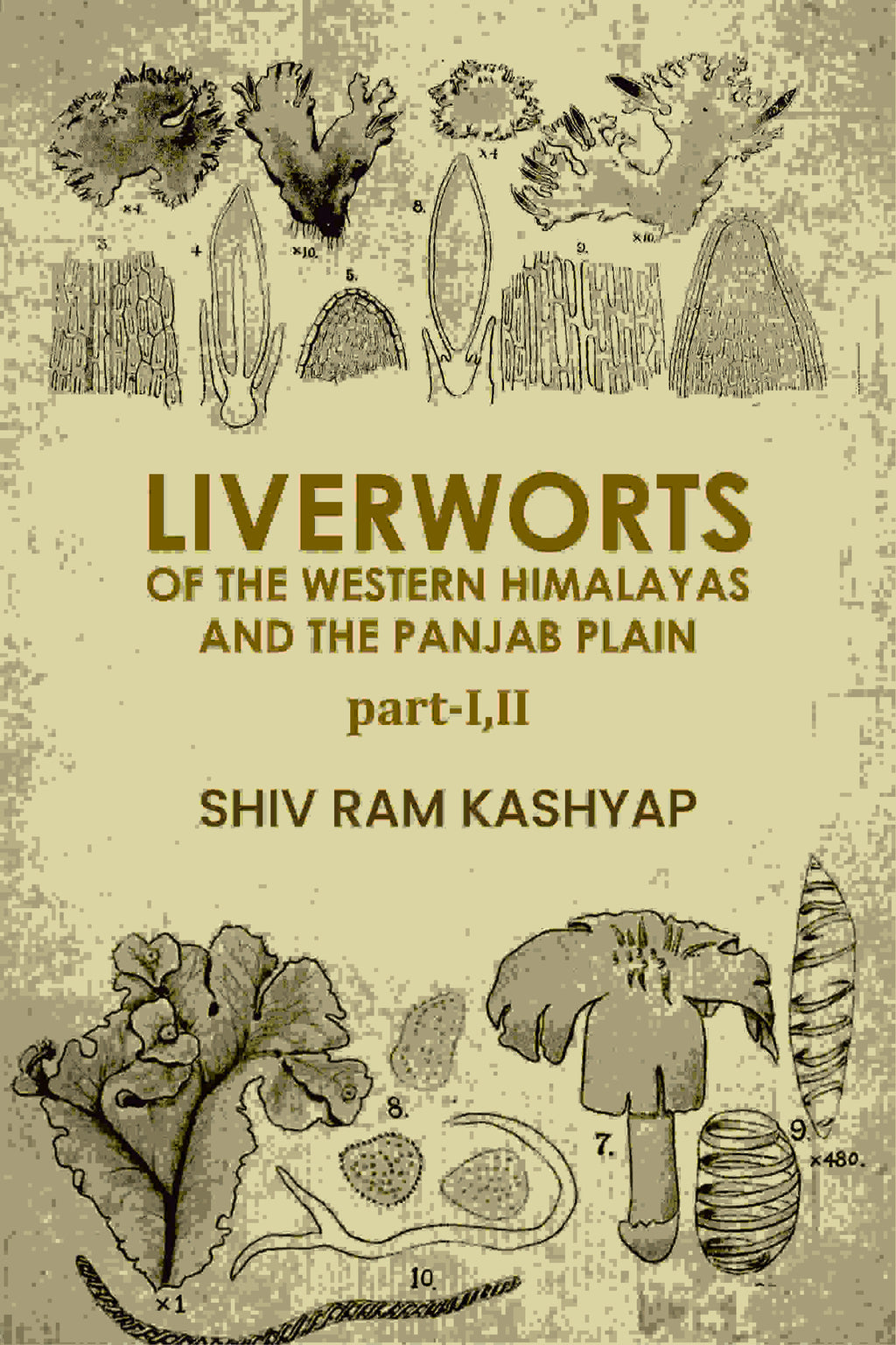 Liverworts Of The Western Himalayas And The Panjab Plain (Part 1 and 2) - Gyan Books - Distacart