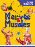 Nerves & Muscles : Human Body Facts - Om Books - Distacart