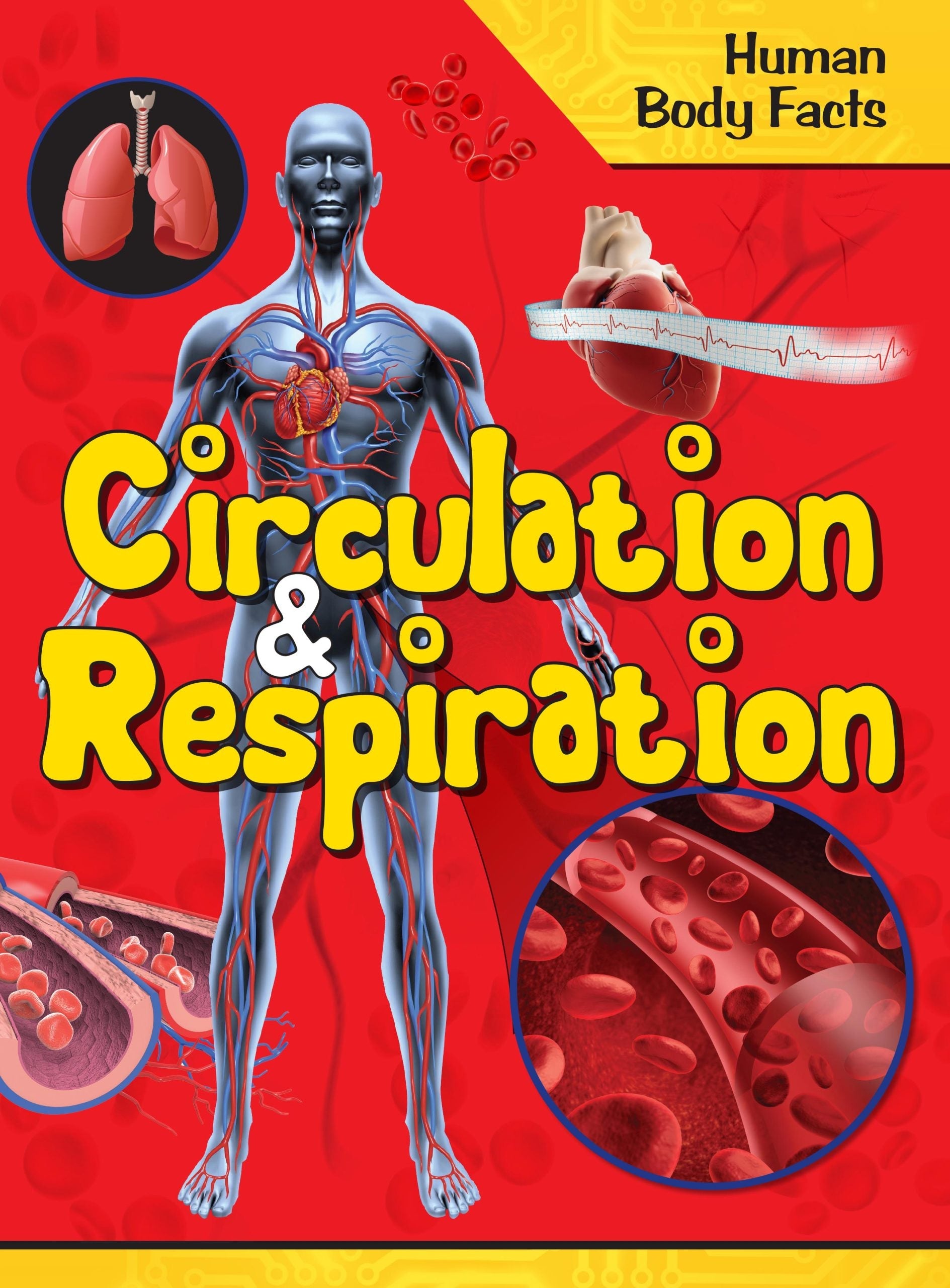 Circulation & Respiration : Human Body Facts - Om Books - Distacart