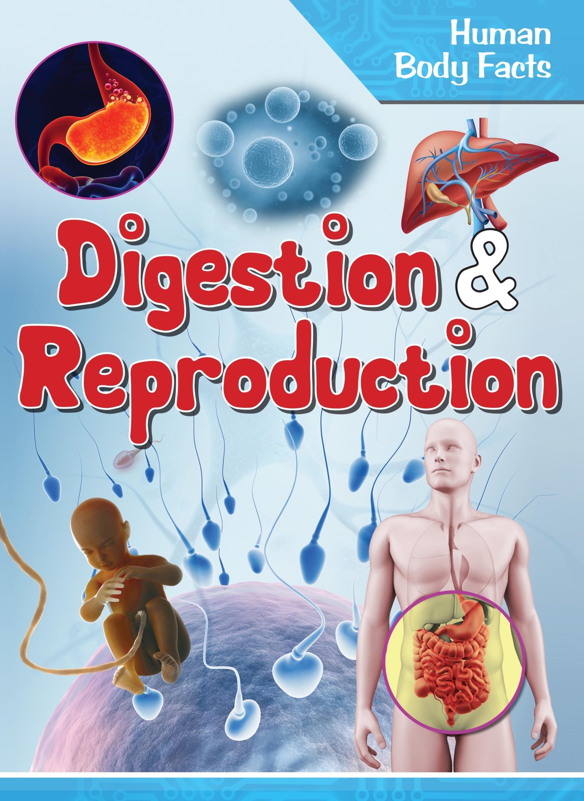 Digestion & Reproduction : Human Body Facts - Om Books - Distacart