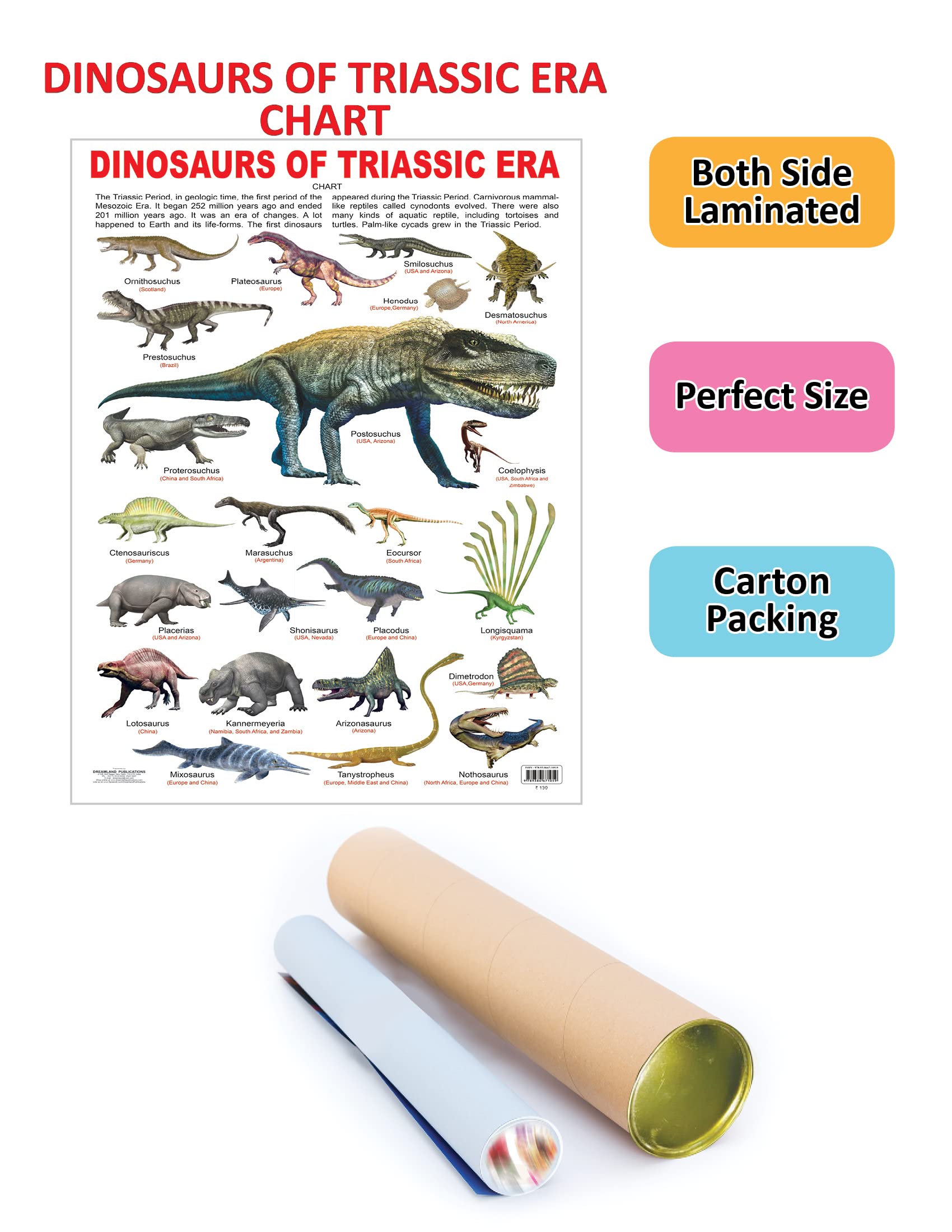 Dreamland Publications Educational Chart for Kids - Dinosaurs of Triassic Era - Distacart