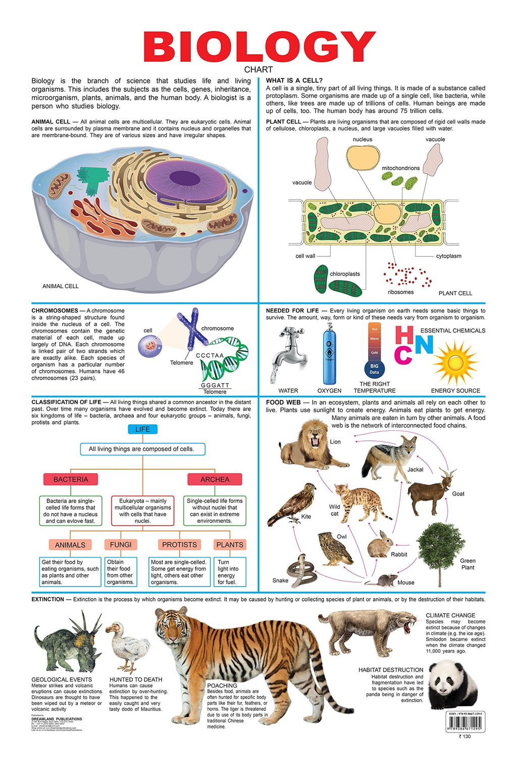 Dreamland Publications Biology : Children Reference Educational Laminated Chart - Distacart