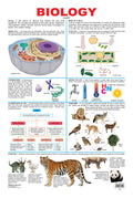 Dreamland Publications Biology : Children Reference Educational Laminated Chart - Distacart