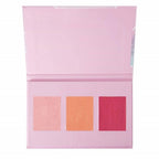 Wet n Wild Coloricon Blush Palette