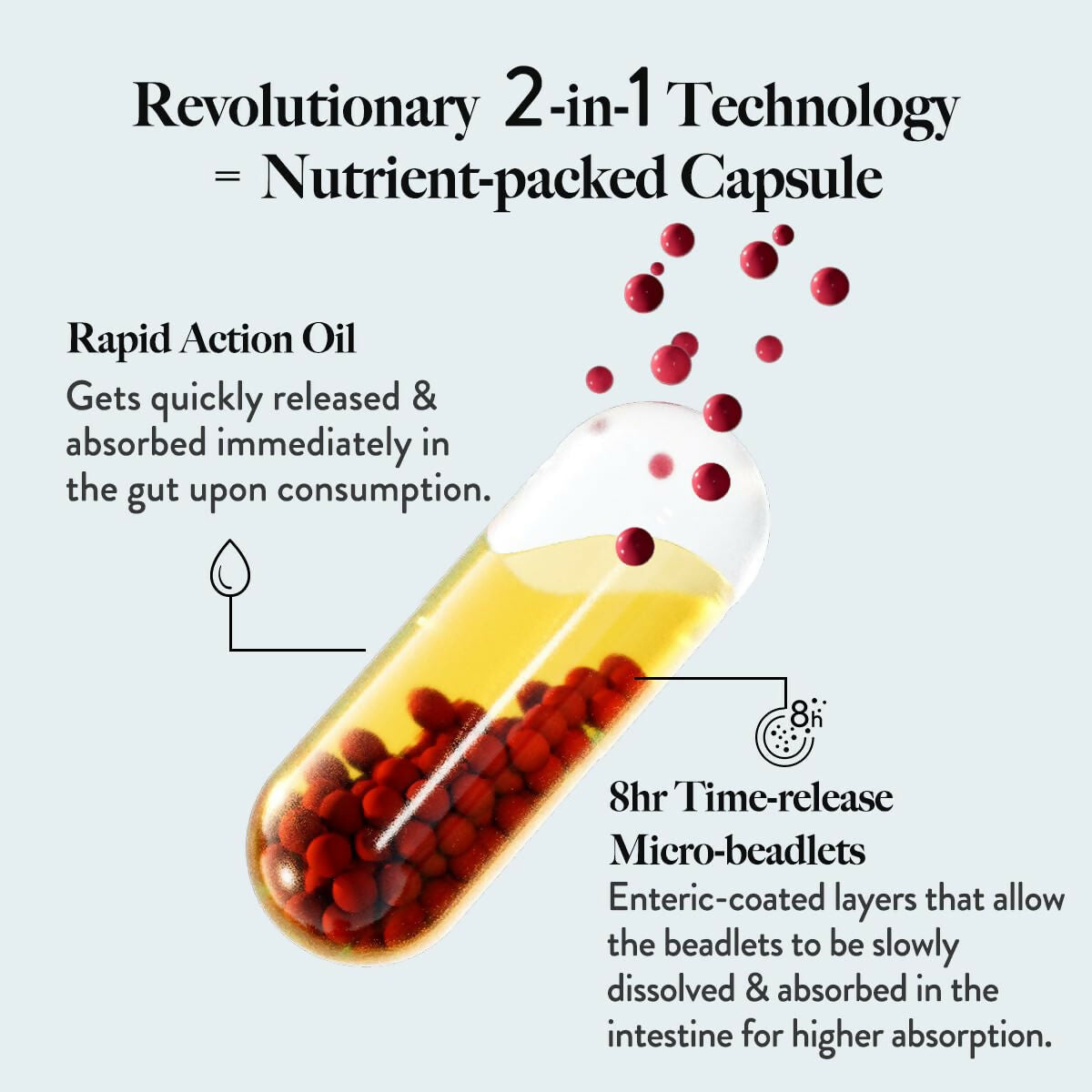 Wellbeing Nutrition Slow Multi + Omega Capsules - Distacart