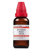 Dr. Willmar Schwabe India Brachyglottis Repens Dilution