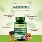 Himalayan Organics Glucosamine Chondroitin & MSM Boswellia Serrata: 