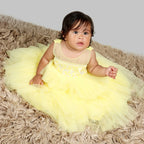 Pink Cow Fashions Yellow Gown With Organza Chest & Net Layer Ghera