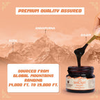 Upakarma Ayurveda Original & Pure SJ Resin Form With Safed Musli - Distacart