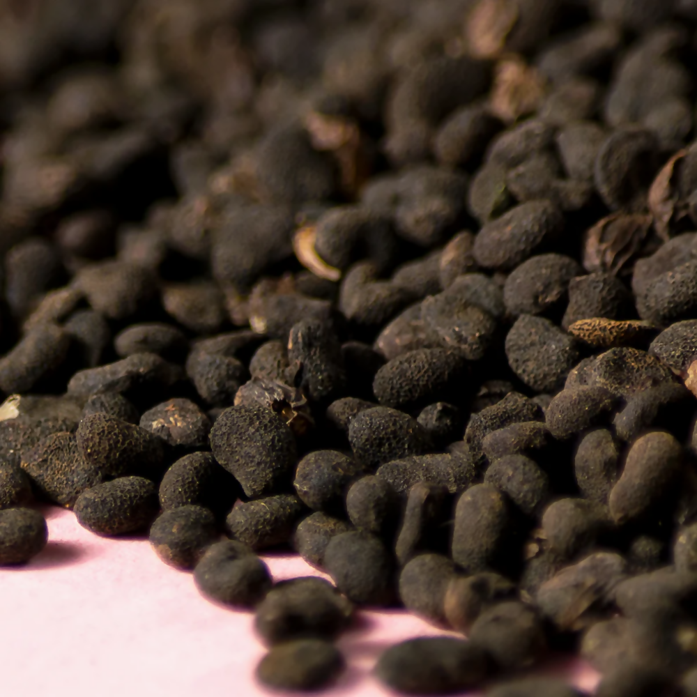 Nxtgen Ayurveda Babchi Seeds