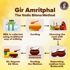 Giramritphal A2 Pure Desi Gir Cow Ghee Vedic Bilona Method