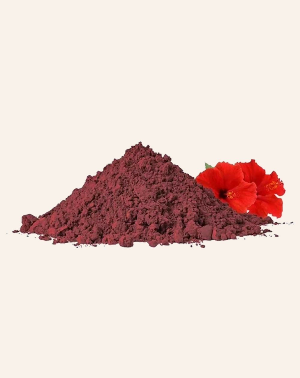 Simandhar Hibiscus (Japakusum) Powder