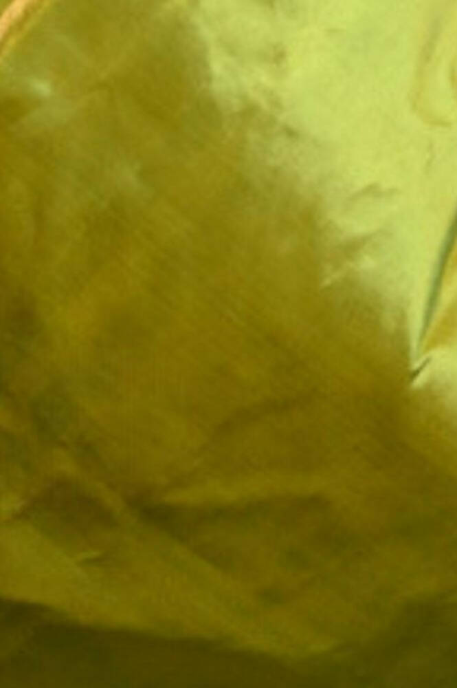 Very Much Indian Premium Handloom Pure Silk Muniya Borde-Parrot Green,Silver Zari And Intricate Big Radha Krishna Pallu - Distacart