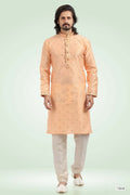 Raivat Ethnic Jacquard Banarasi Silk Pintux Work Kurta Pajama In Peach Colour