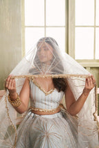 Aastha Fashion Light Gray Butterfly Net Tone To Tone Cotton Thread Work And Sequence Work Embroidery Wedding Wear Lehenga Choli - Distacart