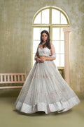 Aastha Fashion Light Gray Butterfly Net Tone To Tone Cotton Thread Work And Sequence Work Embroidery Wedding Wear Lehenga Choli - Distacart