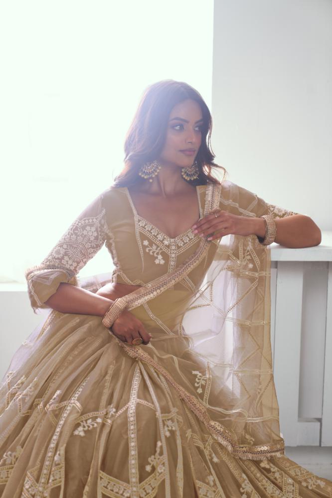 Aastha Fashion Chiku(Beige) Butterfly Net White Cotton Thread Work And Sequence Work Embroidery Wedding Wear Lehenga Choli - Distacart