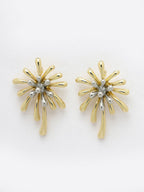 NVR Women Gold-Plated Drop Earrings - Distacart