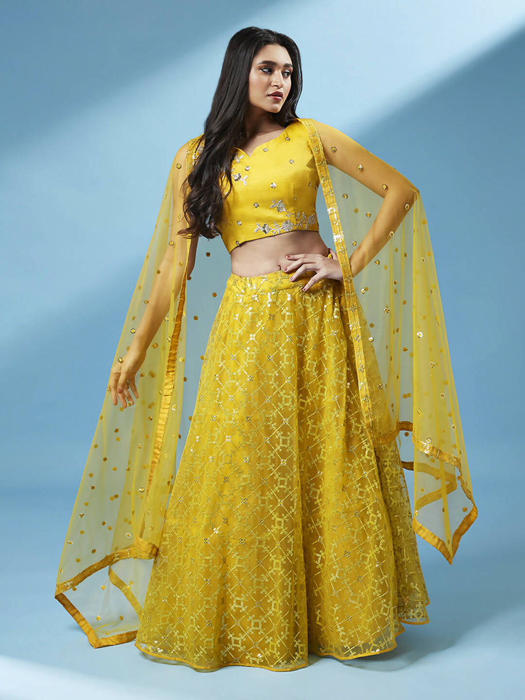 House of Panchhi Mustard Net Sequinse Work Lehenga & Blouse, Dupatta