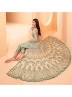 Myra Pista Green Butterfly Net Embroidery Anarkali