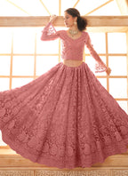 Vegaa Fashion Peach Net Thread Work Wedding Lehenga