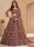 Vegaa Fashion Brown Net Embroidery Designer Lehenga Choli