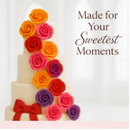 sugar paste multipack 13 300 gms