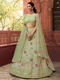 Myra Pista Green Organza Embroidered Lehenga