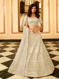 Myra Cream Organza Embroidered Lehenga Choli