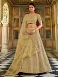 Myra Pista Organza Embroidered Lehenga Choli