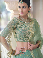 Myra Pista Net Embroidered Lehenga
